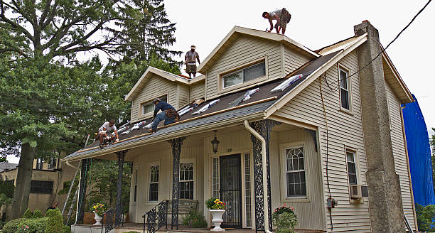 Best Roofing Contractor Near Me  in Spearman, TX